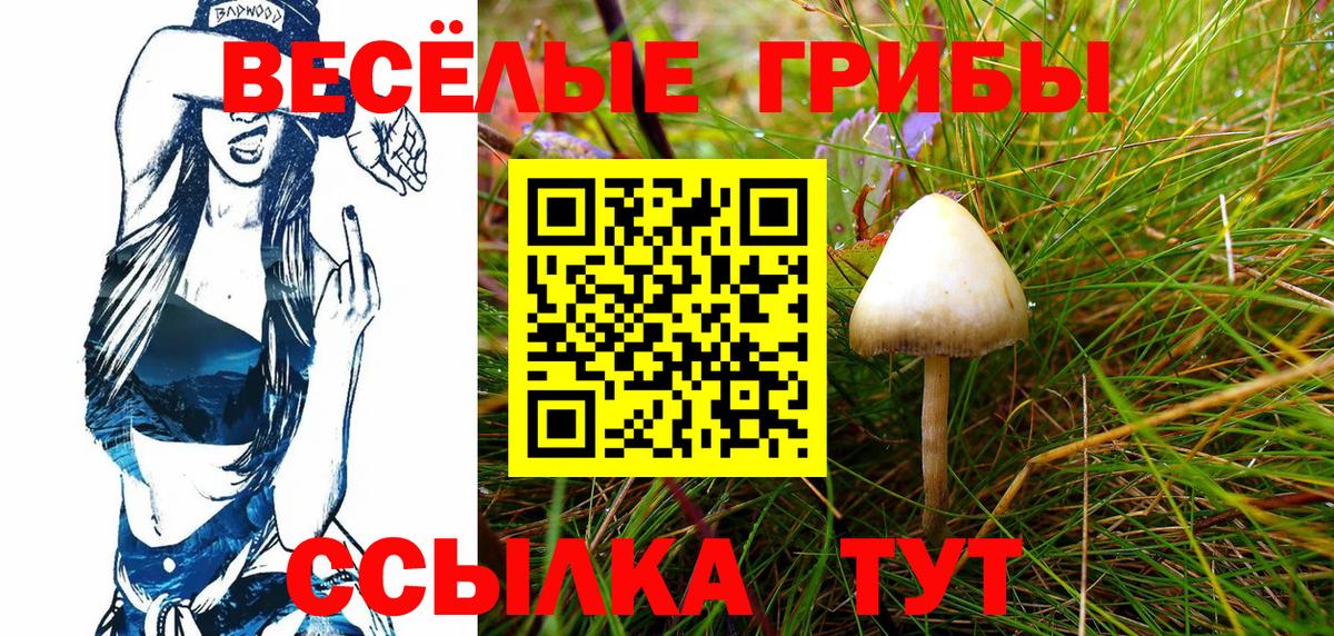 A PVP Красноармейск